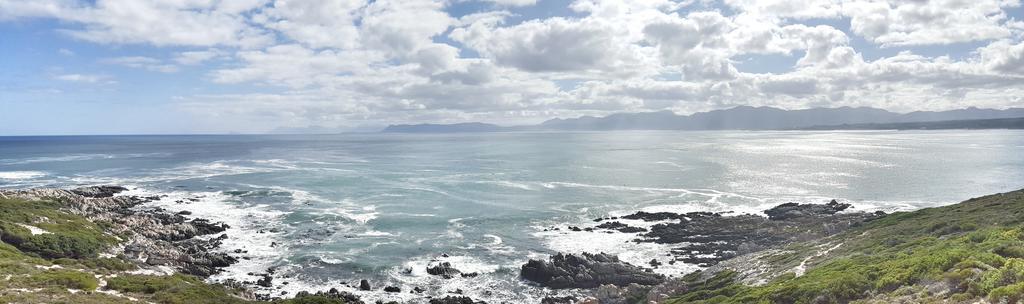Whale Huys Luxury Oceanfront Eco Villa Gansbaai Luaran gambar